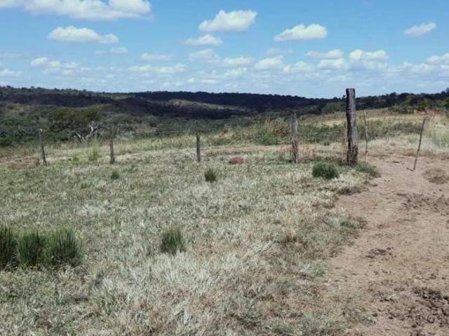 Fazenda / Sítios / Chácaras com 3 quartos à venda em São Gonçalo Do Abaeté, no bairro Zona Rural
