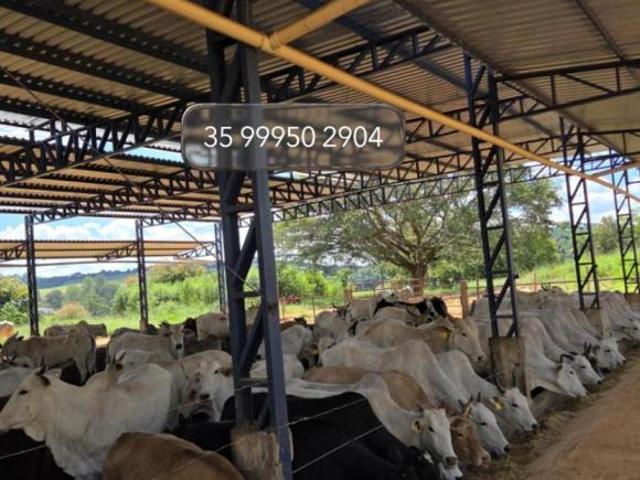 Fazenda / Sítios / Chácaras com 3 quartos à venda em São Gonçalo Do Sapucaí, no bairro Zona Rural
