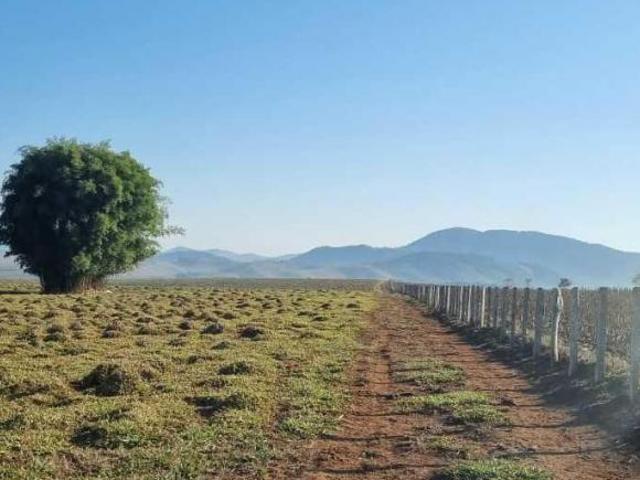 Fazenda / Sítios / Chácaras com 3 quartos à venda em São José Do Alegre, no bairro Zona Rural