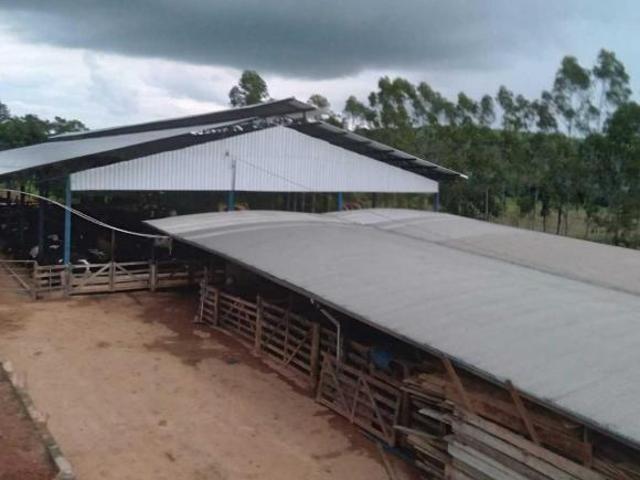 Fazenda / Sítios / Chácaras com 3 quartos à venda em Turvolândia, no bairro Zona Rural