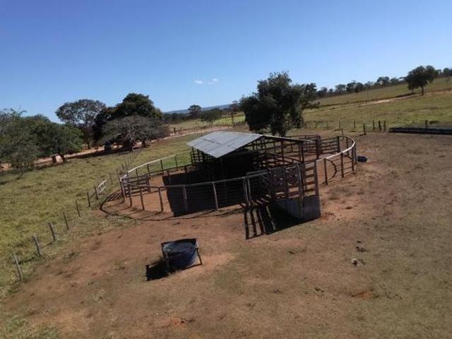 Fazenda / Sítios / Chácaras com 3 quartos à venda em Várzea Da Palma, no bairro Centro