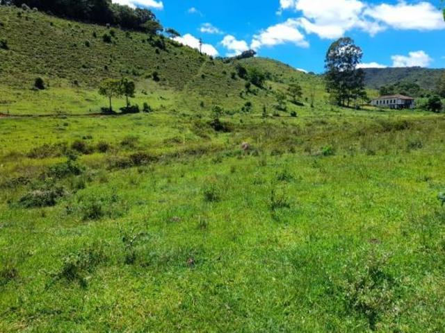 Fazenda / Sítios / Chácaras com 11 quartos à venda em Lamim, no bairro Área Rural