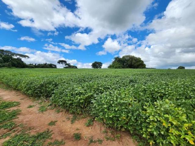 Fazenda / Sítios / Chácaras com 1 quarto à venda em Careaçu, no bairro Centro