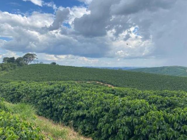 Fazenda / Sítios / Chácaras com 1 quarto à venda em Guaxupé, no bairro Vila Santa Bárbara