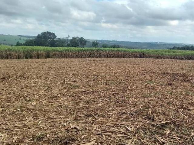 Fazenda / Sítios / Chácaras com 1 quarto à venda em São João Da Boa Vista, no bairro Zona Rural