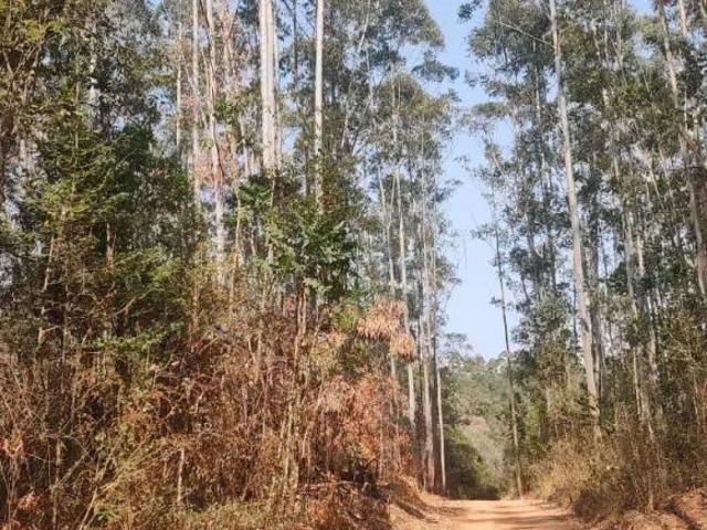 Fazenda / Sítios / Chácaras com 1 quarto à venda em São João Da Mata, no bairro Zona Rural