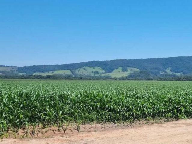 Fazenda / Sítios / Chácaras com 1 quarto à venda em São Sebastião Da Bela Vista, no bairro Zona Rura