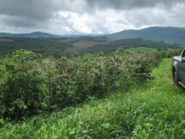 Fazenda / Sítios / Chácaras com 2 quartos à venda em Cambuquira, no bairro Centro