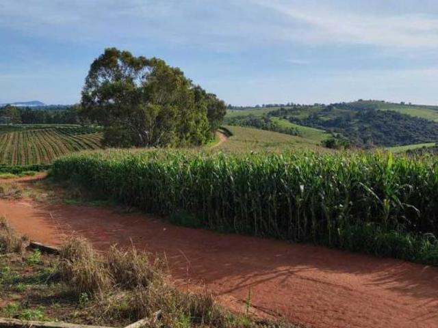 Fazenda / Sítios / Chácaras com 2 quartos à venda em Campestre, no bairro Zona Rural