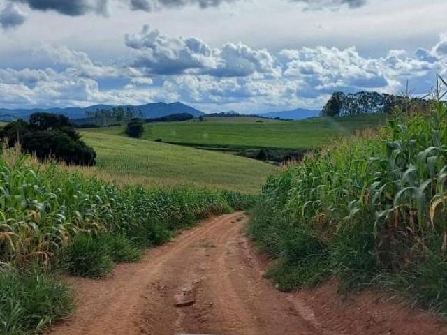 Fazenda / Sítios / Chácaras com 2 quartos à venda em Carmo De Minas, no bairro Zona Rural