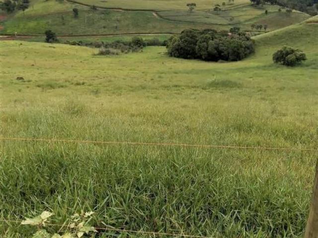 Fazenda / Sítios / Chácaras com 2 quartos à venda em Dom Viçoso, no bairro Zona Rural