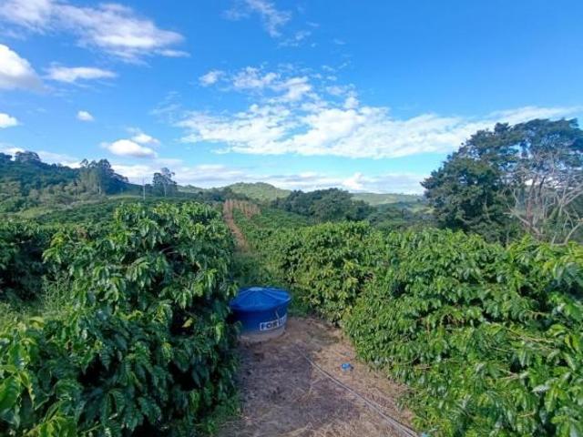 Fazenda / Sítios / Chácaras com 2 quartos à venda em Nepomuceno, no bairro Sitio Bom Retiro