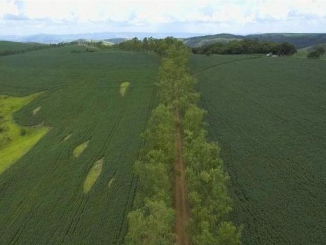 Fazenda / Sítios / Chácaras com 2 quartos à venda em Pimenta, no bairro Zona Rural