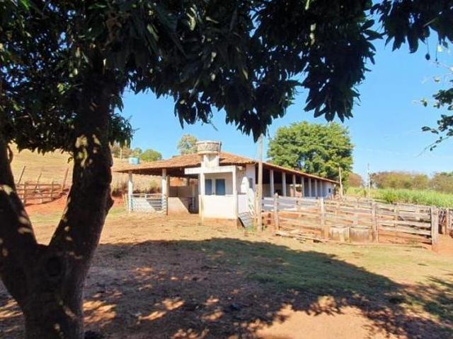 Fazenda / Sítios / Chácaras com 2 quartos à venda em Piracema, no bairro Centro