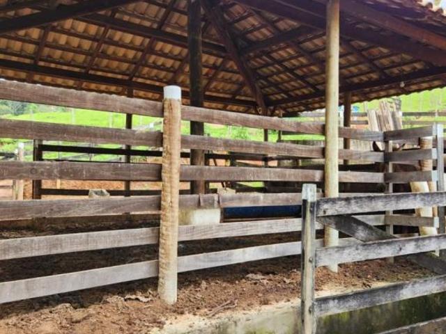 Fazenda / Sítios / Chácaras com 2 quartos à venda em Rio Manso, no bairro Área Rural