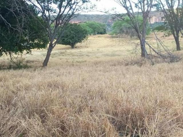 Fazenda / Sítios / Chácaras com 2 quartos à venda em Verdelândia, no bairro Zona Rural