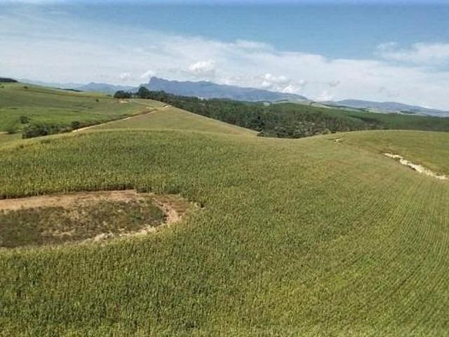 Fazenda / Sítios / Chácaras com 7 quartos à venda em Aiuruoca, no bairro Centro
