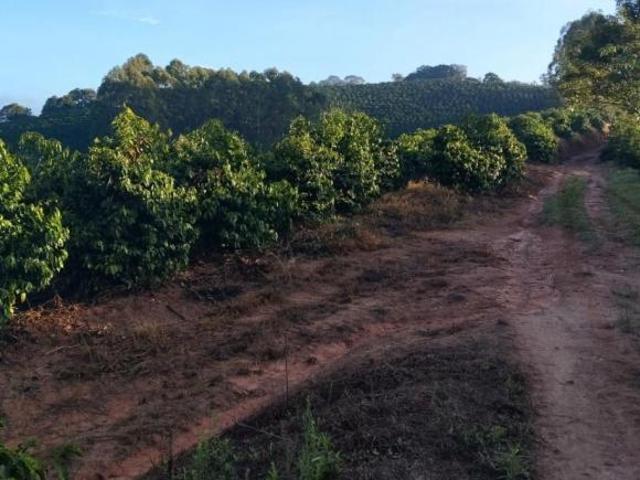 Fazenda / Sítios / Chácaras com 4 quartos à venda em Cabo Verde, no bairro Zona Rural