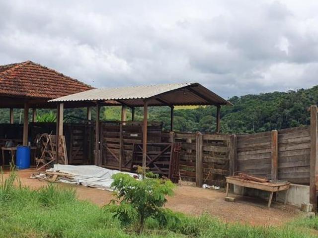 Fazenda / Sítios / Chácaras com 4 quartos à venda em Carmo De Minas, no bairro Centro
