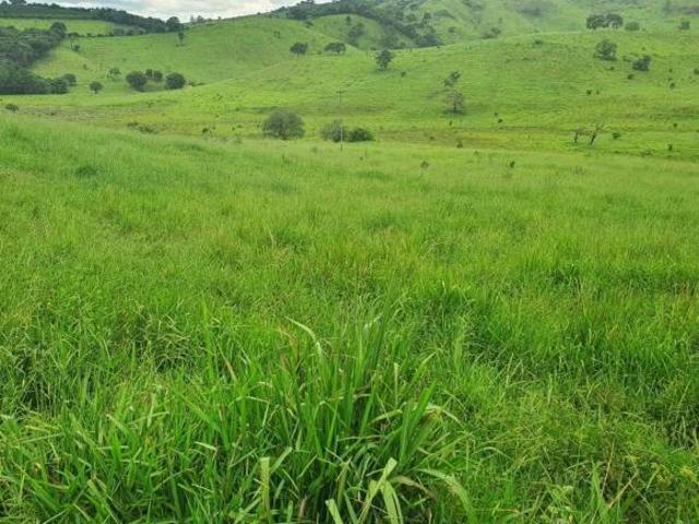 Fazenda / Sítios / Chácaras com 4 quartos à venda em Carmo De Minas, no bairro Zona Rural