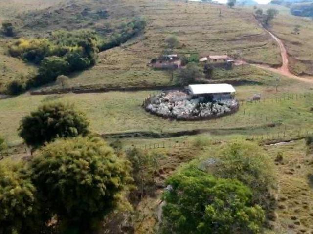 Fazenda / Sítios / Chácaras à venda em Bom Sucesso, no bairro Zona Rural
