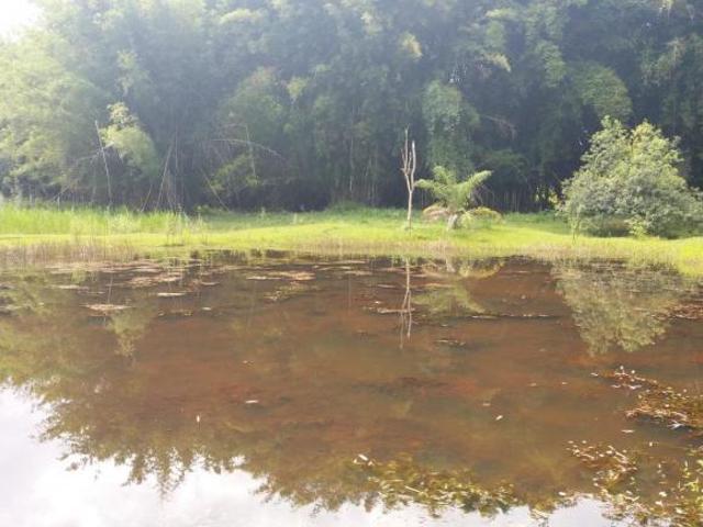 Fazenda / Sítios / Chácaras com 4 quartos à venda em Borda Da Mata, no bairro Serrinha