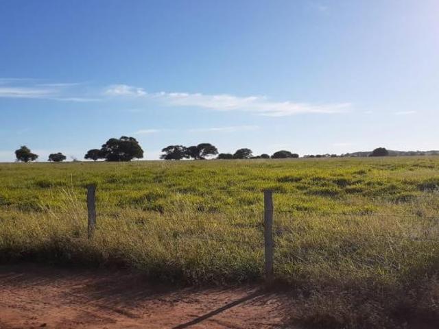 Fazenda / Sítios / Chácaras com 4 quartos à venda em Buritizeiro, no bairro Zona Rural