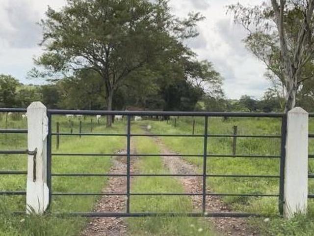 Fazenda / Sítios / Chácaras com 4 quartos à venda em Oliveira, no bairro Zona Rural