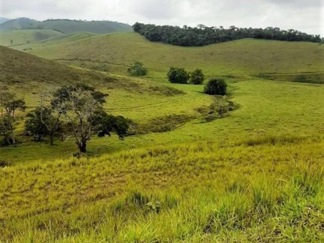 Fazenda / Sítios / Chácaras com 4 quartos à venda em Matias Barbosa, no bairro Centro