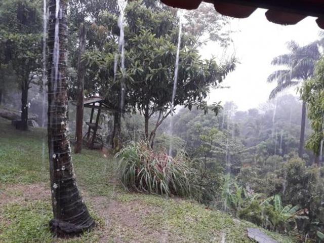 Fazenda / Sítios / Chácaras com 4 quartos à venda em Mariana, no bairro Furquim