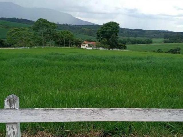 Fazenda / Sítios / Chácaras com 4 quartos à venda em Minduri, no bairro Zona Rural