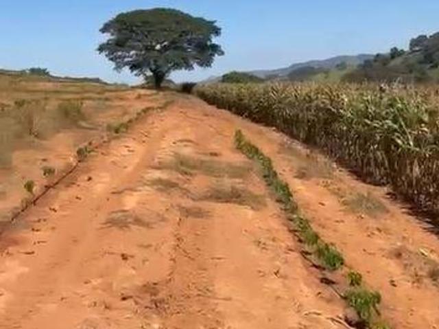 Fazenda / Sítios / Chácaras com 4 quartos à venda em São João Da Mata, no bairro Zona Rural
