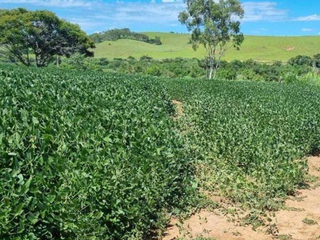 Fazenda / Sítios / Chácaras com 4 quartos à venda em São Sebastião Da Bela Vista, no bairro Zona Rur