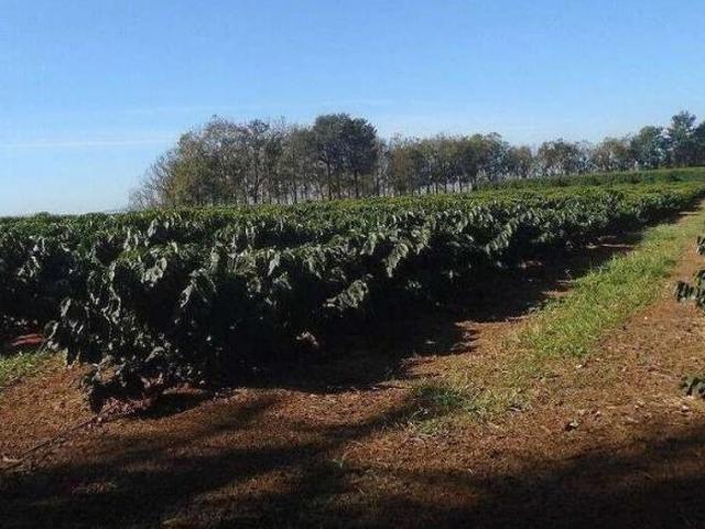 Fazenda / Sítios / Chácaras com 4 quartos à venda em Piumhi, no bairro Zona Rural