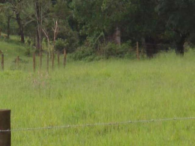 Fazenda / Sítios / Chácaras com 4 quartos à venda em Vargem Bonita, no bairro Zonarural
