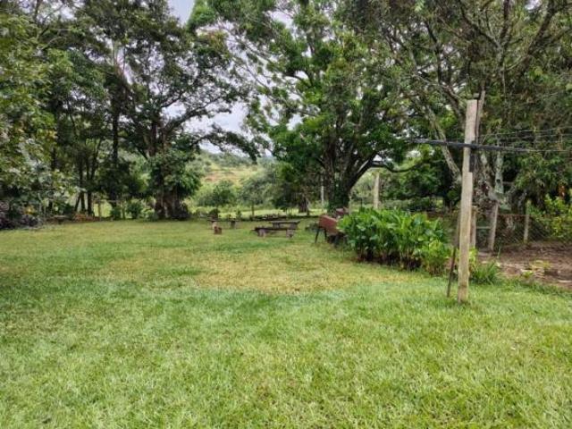 Fazenda / Sítios / Chácaras com 5 quartos à venda em Conceição Do Pará, no bairro Zona Rural