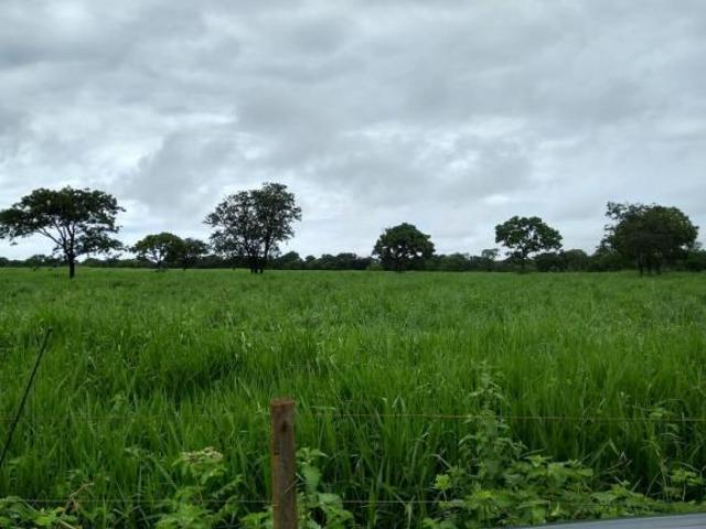 Fazenda / Sítios / Chácaras com 5 quartos à venda em Corinto, no bairro Zona Rural