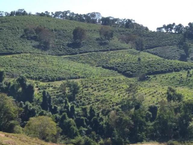 Fazenda / Sítios / Chácaras com 5 quartos à venda em Cambuquira, no bairro Zona Rural