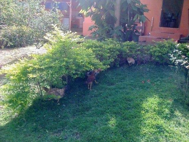 Fazenda / Sítios / Chácaras com 5 quartos à venda em Inimutaba, no bairro Centro
