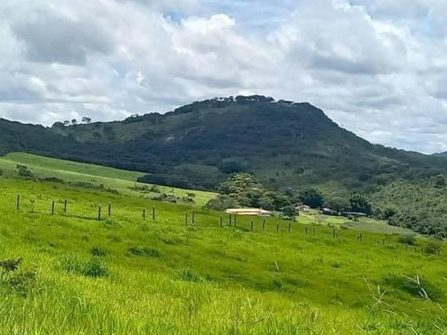 Fazenda / Sítios / Chácaras com 5 quartos à venda em Oliveira, no bairro Centro