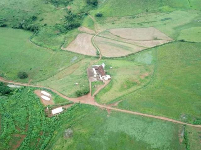 Fazenda / Sítios / Chácaras com 5 quartos à venda em Palma, no bairro 36750000