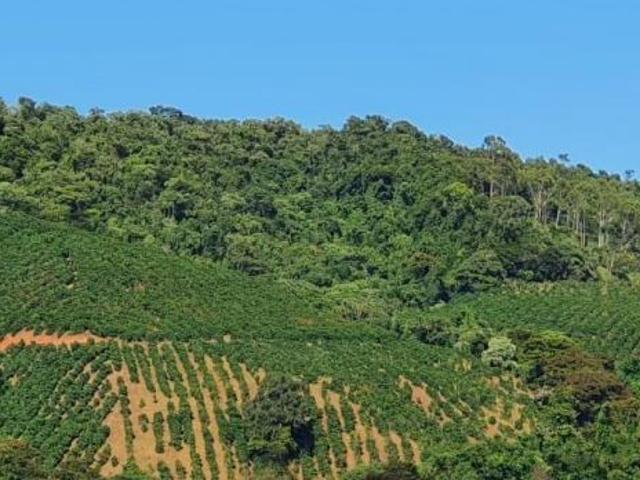 Fazenda / Sítios / Chácaras com 6 quartos à venda em Conceição Do Rio Verde, no bairro Centro
