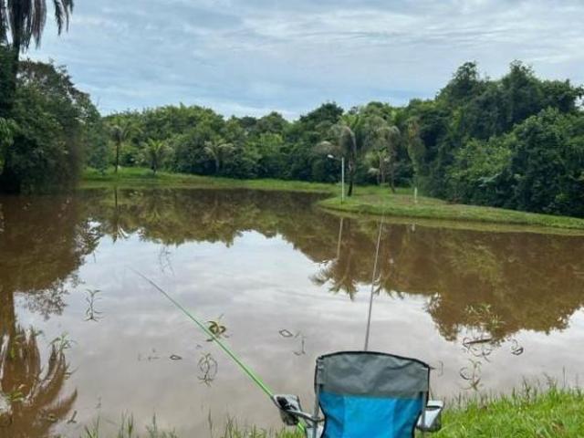 Fazenda / Sítios / Chácaras com 8 quartos à venda em Conceição Do Pará, no bairro Rural