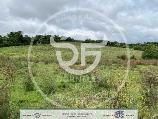 Fazenda, Sobradinho, Itaqui, RS