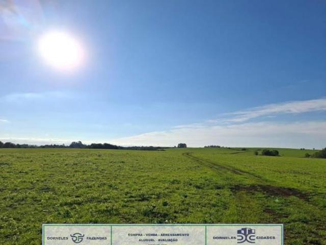 Fazenda, Tupantuba, Santiago, RS