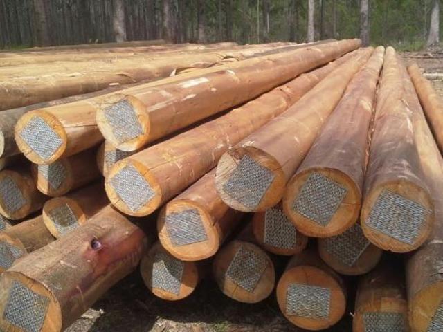 Fazenda Tripla Aptidão com 680 Hectares, 250 Mil Pés de Café, 300 Mil Pés de Eucalipto, Pasto, Barra
