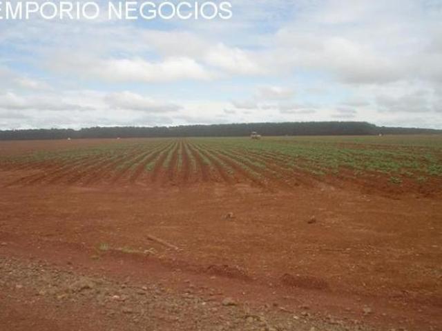 Fazenda venda. Empório Negócios vende fazenda para lavoura na região de Jacuí MG