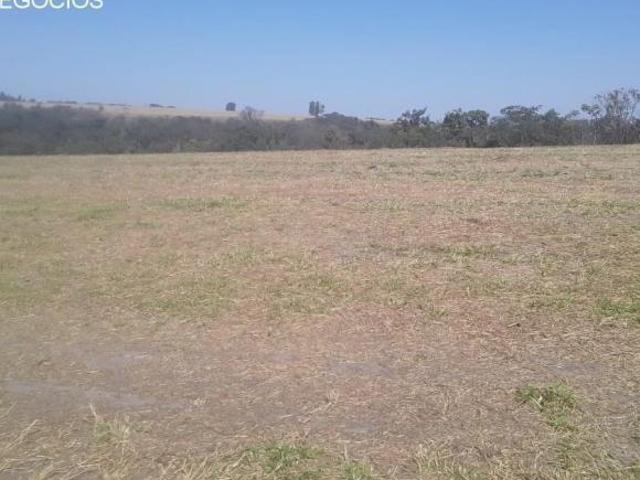 Fazenda venda. Empório Negócios vende fazenda para pecuária e lavoura na região de Monte Santo de Mi