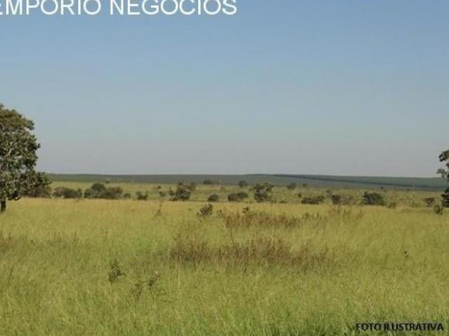 Fazenda venda. Empório Negócios vende fazenda pecuária e lavoura na região de Jacuí/São Sebastião do
