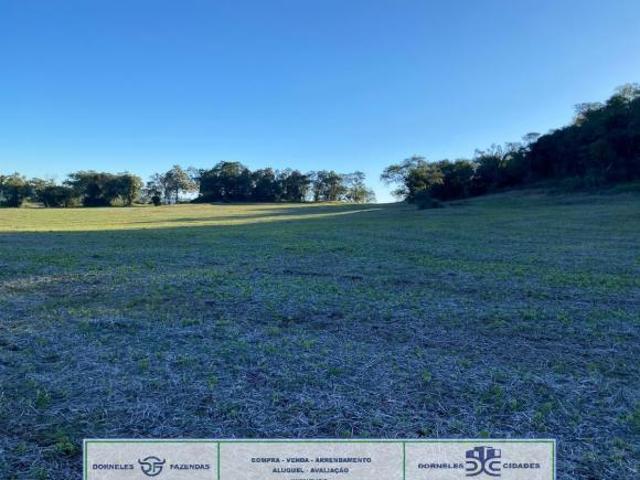 Fazenda, Vila Betânia, Santiago, RS